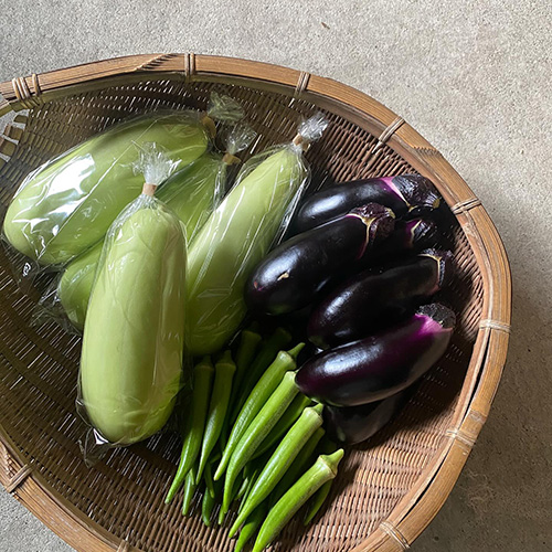 ⁡昨日、今日お野菜入荷してまーす スイカやトマトは水分補給にもピッタリ。