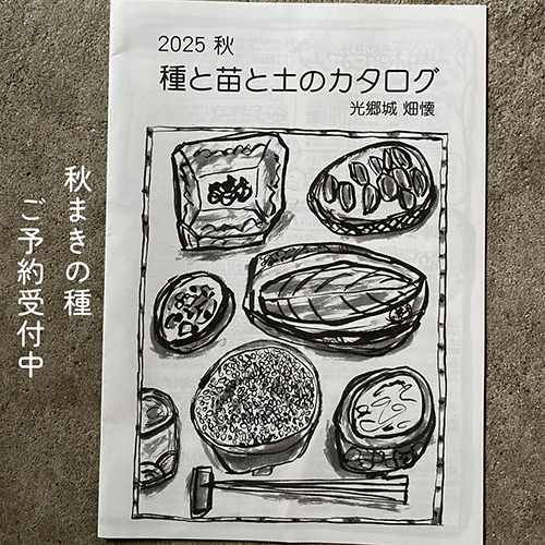 秋まきの種受付中 ご希望の種をまとめて注文しますね