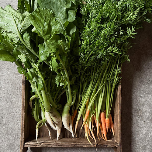 ⁡野菜、マコモダケ、柿も届いています 久しぶりに@redrice.sizennouen さんのお野菜が〜