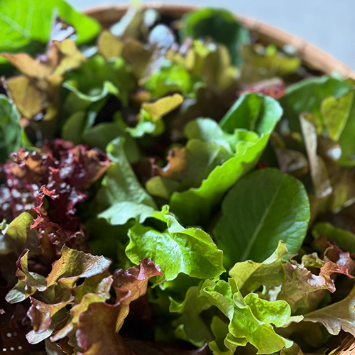 ⁡野菜や果物、入荷してます