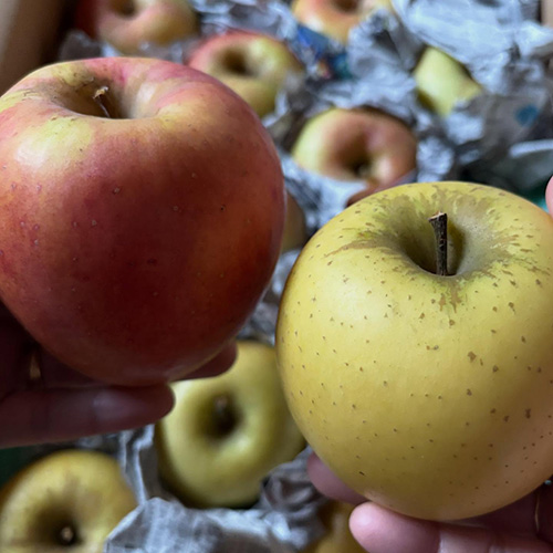 お野菜、果物本日届いてますー 扇谷農園さん @ougiyanouen ぐんま名月 シナノゴールド ラフランス
