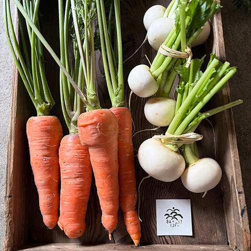 お野菜届いてまーす