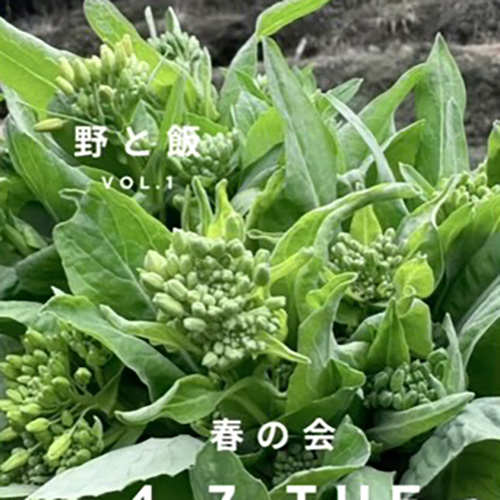 「野と飯」はじめます。春夏秋冬、あちこちキャラバン、食と季節をお届けします。