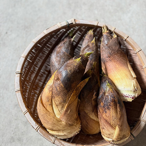 今週も月曜〜水曜日にかけてお野菜、柑橘届いています いつもありがとうございます！