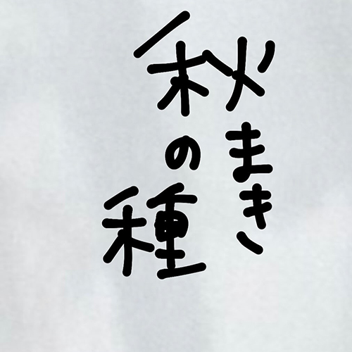秋まきの種ご注文いただけますー　 大西商店トップページのプロフィール欄にある【秋まきの種】より